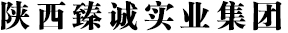 陜西省建筑行業(yè)典范企業(yè) 陜西省建筑行業(yè)典范企業(yè)