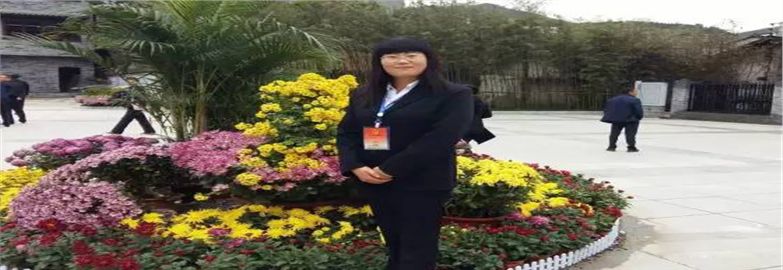 張?zhí)m英（陜西）：記一位具有生命高度的人