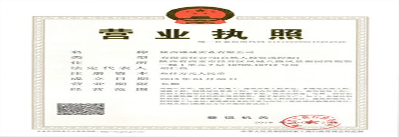 陜西臻誠實(shí)業(yè)集團(tuán)有限公司營業(yè)執(zhí)照
