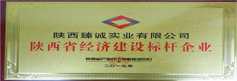 陜西臻誠實(shí)業(yè)集團(tuán)有限公司五星級誠信單位